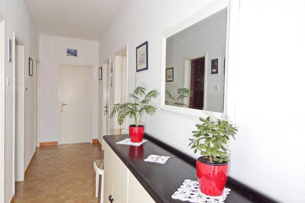Apartment Eli Pag Town Exteriér fotografie